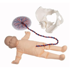 Păpușă pentru făt Erler-Zimmer cu placentă și pelvis