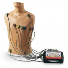 Trainer pentru plasare ECG Life/Form cu 15 derivații