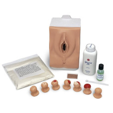 Trainer pentru examenul cervical și testul Papanicolau Life/Form