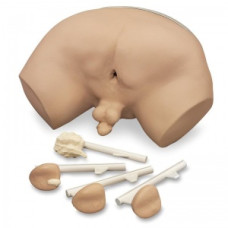 Simulator de examinare a prostatei Erler-Zimmer