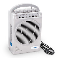 Sistem de difuzoare amplificator 110V