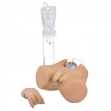 Antrenor de cateterizare Erler-Zimmer cu inserții genitale masculine și feminine